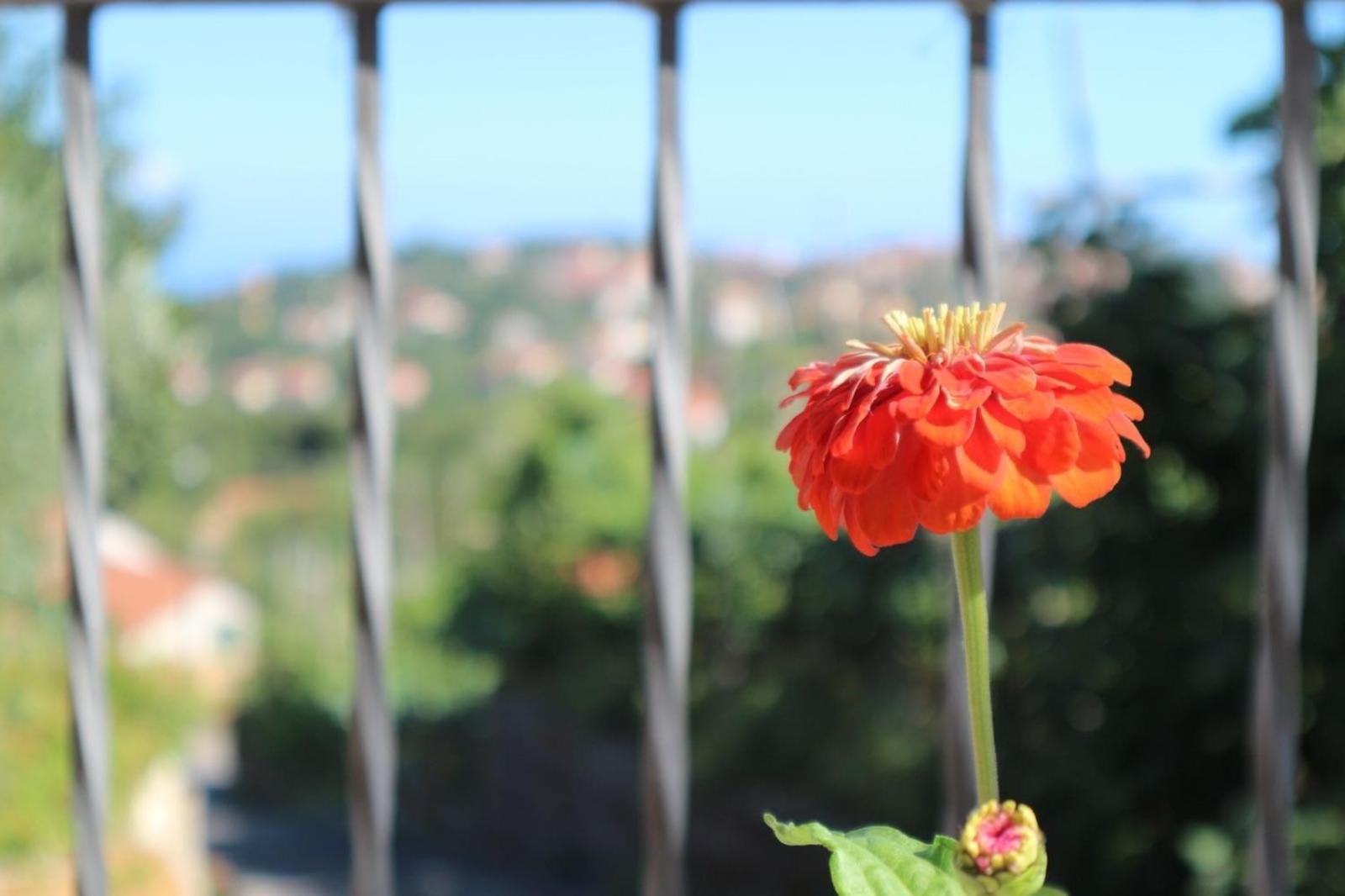 Holiday home Il Balcone Delle Dee *
