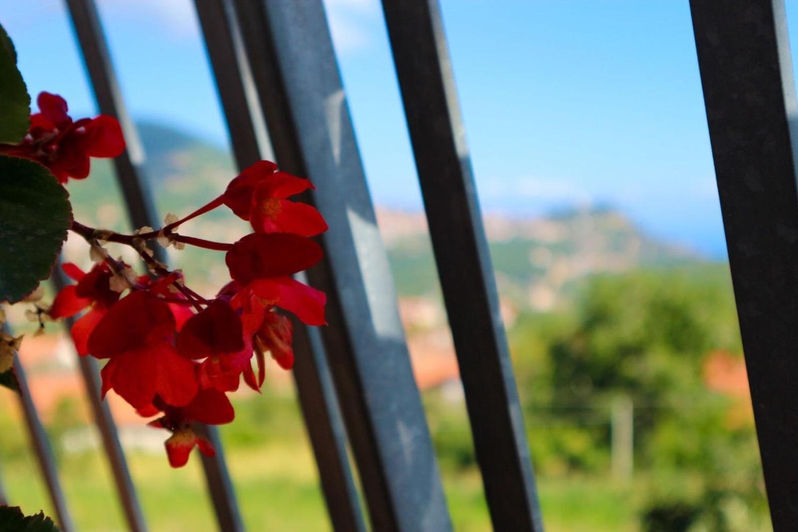 Il Balcone Delle Dee Holiday home *