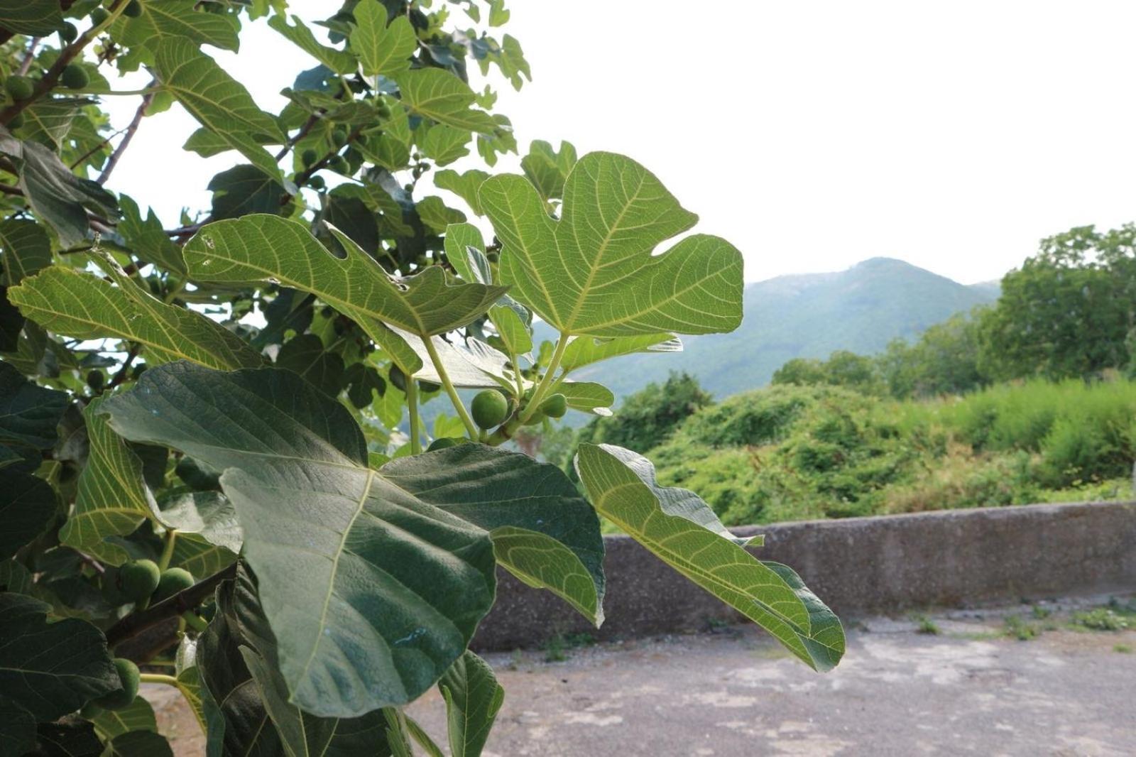 Il Balcone Delle Dee