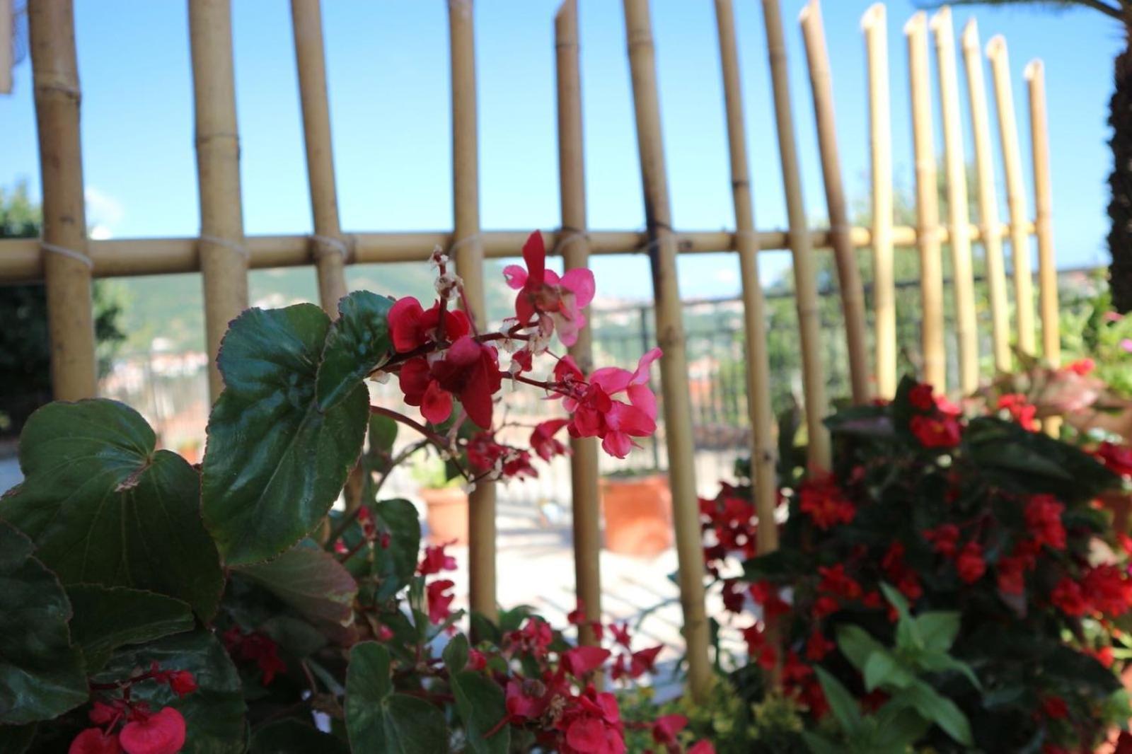 Hébergement de vacances Il Balcone Delle Dee Agerola